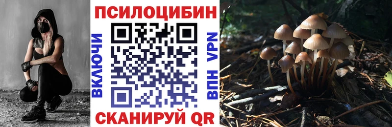 Псилоцибиновые грибы Cubensis  Вязьма 