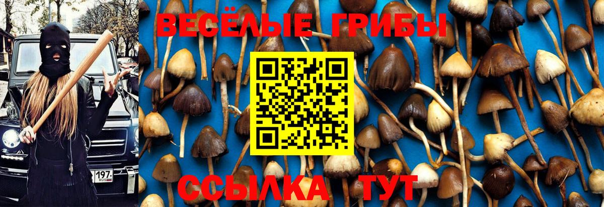 Вязьма  Псилоцибиновые грибы Magic Shrooms  Вход с VPN 
