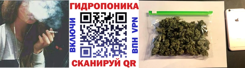 МАРИХУАНА сатива  Вязьма 